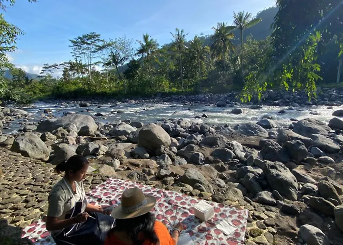Darmada Eco 4*