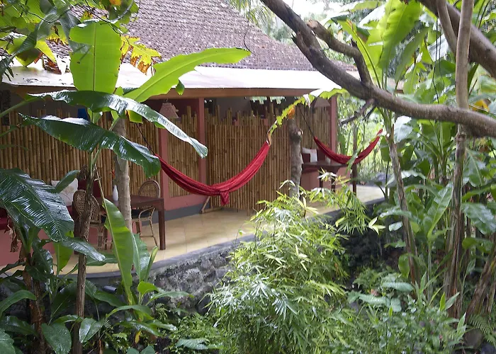 Resort Darmada Eco