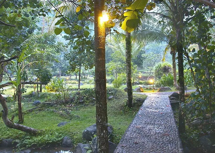Darmada Eco
