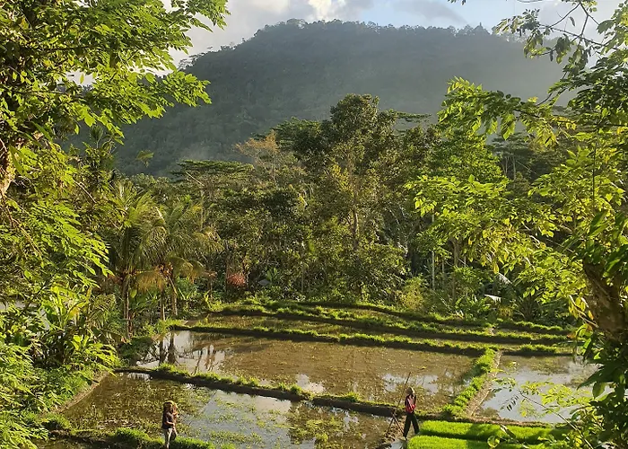 Darmada Eco 4* Sidemen (Bali)